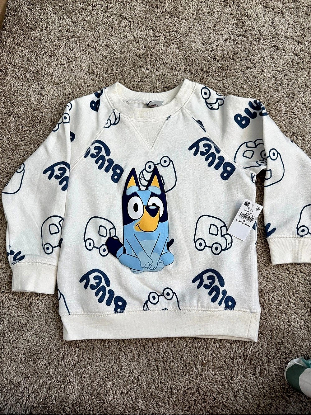 Old Navy Bluey Graphic Sweatshirt